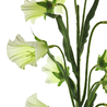 Fleur artificielle 75 cm crème Fleur artificielle 75 cm crème