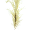 Herbe de pampa artificielle XL 160 cm crème Herbe de pampa artificielle XL 160 cm crème