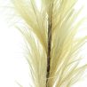 Herbe de pampa artificielle XL 160 cm crème Herbe de pampa artificielle XL 160 cm crème