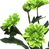 Fleur artificielle Chrysanthèmes 60 cm vert Fleur artificielle Chrysanthèmes 60 cm vert
