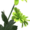 Fleur artificielle Chrysanthèmes 60 cm vert Fleur artificielle Chrysanthèmes 60 cm vert