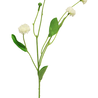 Fleur artificielle Bellis Hybrid 58 cm blanc Fleur artificielle Bellis Hybrid 58 cm blanc
