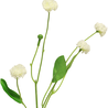 Fleur artificielle Bellis Hybrid 58 cm blanc Fleur artificielle Bellis Hybrid 58 cm blanc