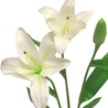 Fleur artificielle Lily 53 cm crème Fleur artificielle Lily 53 cm crème