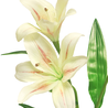 Fleur artificielle Lily 53 cm vert Fleur artificielle Lily 53 cm vert