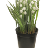Fleur artificielle Lily en pot 21 cm Fleur artificielle Lily en pot 21 cm