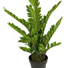 Kunstplant Zamioculcas 90 cm deluxe Kunstplant Zamioculcas 90 cm deluxe
