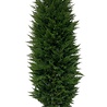 Tuja artificiel Deluxe UV 180cm Tuja artificiel Deluxe UV 180cm