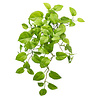 Pothos artificiel Deluxe 60cm Pothos artificiel Deluxe 60cm