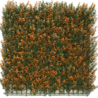 Haie artificielle Buxus orange 50x50 cm UV Haie artificielle Buxus orange 50x50 cm UV