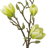 Fleur artificielle Magnolia 50 cm blanc/vert Fleur artificielle Magnolia 50 cm blanc/vert