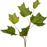 Feuille de chêne artificielle 84 cm verte Feuille de chêne artificielle 84 cm verte