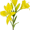 Fleur artificielle Lys asiatique 66 cm jaune Fleur artificielle Lys asiatique 66 cm jaune