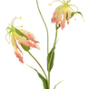 Fleur artificielle gloriosa 81 cm rose/blanc Fleur artificielle gloriosa 81 cm rose/blanc