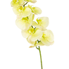Orchidée artificielle Real Touch Deluxe 105 cm blanc/jaune Orchidée artificielle Real Touch Deluxe 105 cm blanc/jaune