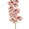 Orchidée artificielle Real Touch Deluxe 105 cm fuchsia/blanc Orchidée artificielle Real Touch Deluxe 105 cm fuchsia/blanc