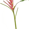 Fleur artificielle Heliconia 90 cm fuchsia Fleur artificielle Heliconia 90 cm fuchsia