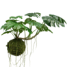 Plante artificielle suspendue Monstera Deluxe 60 cm Plante artificielle suspendue Monstera Deluxe 60 cm