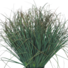 Plante de gazon artificiel Pelouse verte 50 cm Plante de gazon artificiel Pelouse verte 50 cm