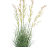 Plante d'herbe artificielle Blé 90 cm Plante d'herbe artificielle Blé 90 cm