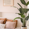 Plante artificielle Strelitzia Deluxe 160 cm Plante artificielle Strelitzia Deluxe 160 cm