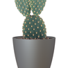 Pot de fleurs San Remo Matt Anthracite Ø8 x H7 cm Pot de fleurs San Remo Matt Anthracite Ø8 x H7 cm