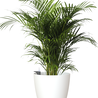 Pot de fleurs San Remo Blanc mat Ø6 x H6 cm Pot de fleurs San Remo Blanc mat Ø6 x H6 cm