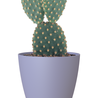 Pot de fleurs San Remo Matt Lavande Ø6 x H6 cm Pot de fleurs San Remo Matt Lavande Ø6 x H6 cm