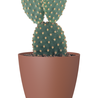 Pot de fleurs San Remo Terracotta mat Ø18 x H16 cm Pot de fleurs San Remo Terracotta mat Ø18 x H16 cm