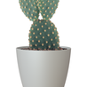 Pot de fleurs San Remo Matt Light Grey Ø18 x H16 cm Pot de fleurs San Remo Matt Light Grey Ø18 x H16 cm