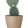 Pot de fleurs San Remo Matte Beige Ø16 x H14 cm Pot de fleurs San Remo Matte Beige Ø16 x H14 cm
