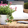 Pot de fleurs Porto mat anthracite Ø16 x H16 cm Pot de fleurs Porto mat anthracite Ø16 x H16 cm