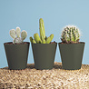 Pot de fleurs Porto mat anthracite Ø16 x H16 cm Pot de fleurs Porto mat anthracite Ø16 x H16 cm