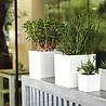 Pot de fleurs Oslo blanc 31 x 31 x 31 cm Pot de fleurs Oslo blanc 31 x 31 x 31 cm