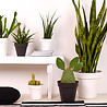 Pot de fleurs Capri anthracite Ø35 x H31 cm Pot de fleurs Capri anthracite Ø35 x H31 cm