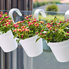 Jardinière de balcon simple anthracite 20 x 18 x 18 cm Jardinière de balcon simple anthracite 20 x 18 x 18 cm