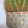Pot de fleurs Nala Bamboo Low Ø29 x H12.5 cm Pot de fleurs Nala Bamboo Low Ø29 x H12.5 cm