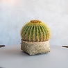 Pot de fleurs Nala Bamboo Low Ø29 x H12.5 cm Pot de fleurs Nala Bamboo Low Ø29 x H12.5 cm