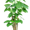 Kunst Alocasia Deluxe groot blad 210 cm Kunst Alocasia Deluxe groot blad 210 cm