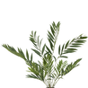 Palmier artificiel Parlour Deluxe 90 cm Palmier artificiel Parlour Deluxe 90 cm