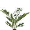 Kunstpalm Parlour deluxe 75 cm Kunstpalm Parlour deluxe 75 cm