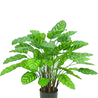 Kunstplant Calathea Makoyana 75 cm Kunstplant Calathea Makoyana 75 cm