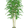 Plante artificielle Bouleau brut 210 cm Plante artificielle Bouleau brut 210 cm