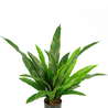 Plante artificielle Bird's Deluxe 60 cm Plante artificielle Bird's Deluxe 60 cm