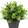 Plante artificielle Eucalyptus mix 22 cm UV Plante artificielle Eucalyptus mix 22 cm UV