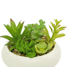 Succulentes artificielles jardin 18 cm dans un pot ornemental Succulentes artificielles jardin 18 cm dans un pot ornemental
