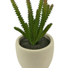 Succulente artificielle 20 cm Succulente artificielle 20 cm