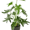 Philodendron artificiel 49 cm Philodendron artificiel 49 cm
