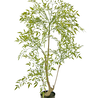 Plante artificielle Ruscus 120 cm Plante artificielle Ruscus 120 cm