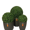 Bulbe artificiel en buis style romain UV D40cm Bulbe artificiel en buis style romain UV D40cm